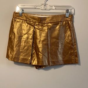 Beautiful Metallic Skort